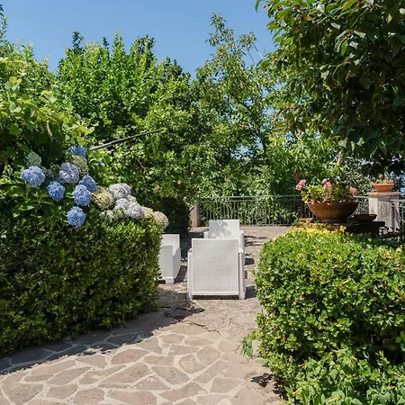 Rossella Sorrento