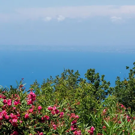 Rossella * 소렌토